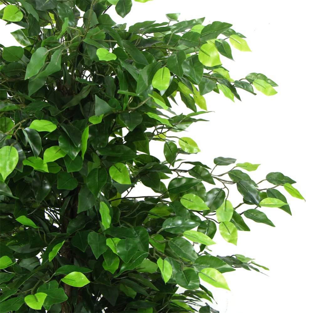 180cm Banyan Potted Tree