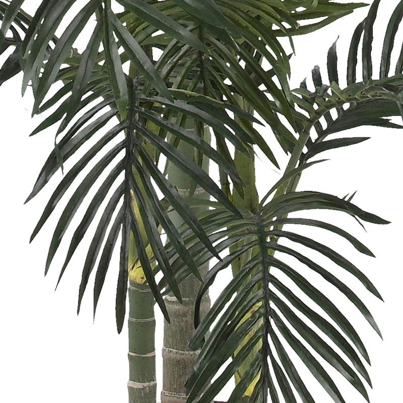 6.5FT Golden Cane Palm Tree