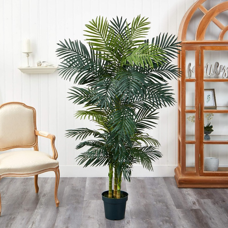 6.5FT Golden Cane Palm Tree