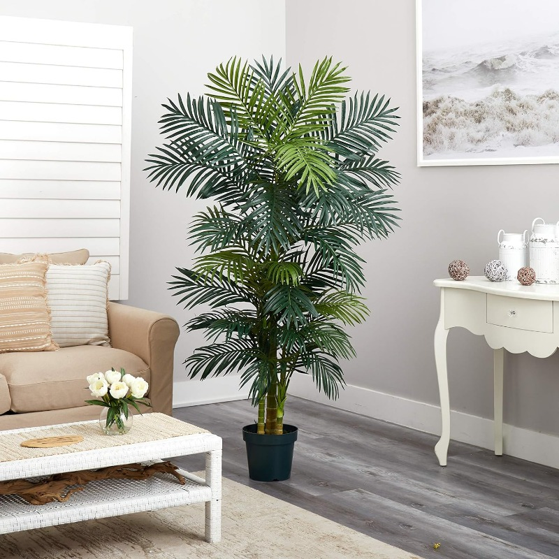 6.5FT Golden Cane Palm Tree