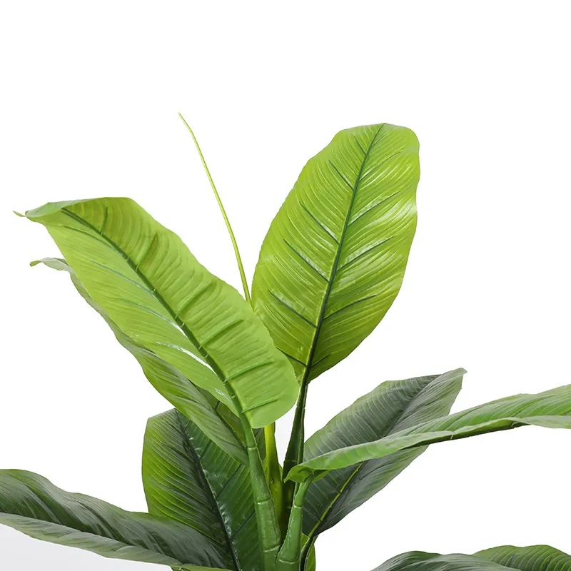 Artificial Musa Basjoo Tree