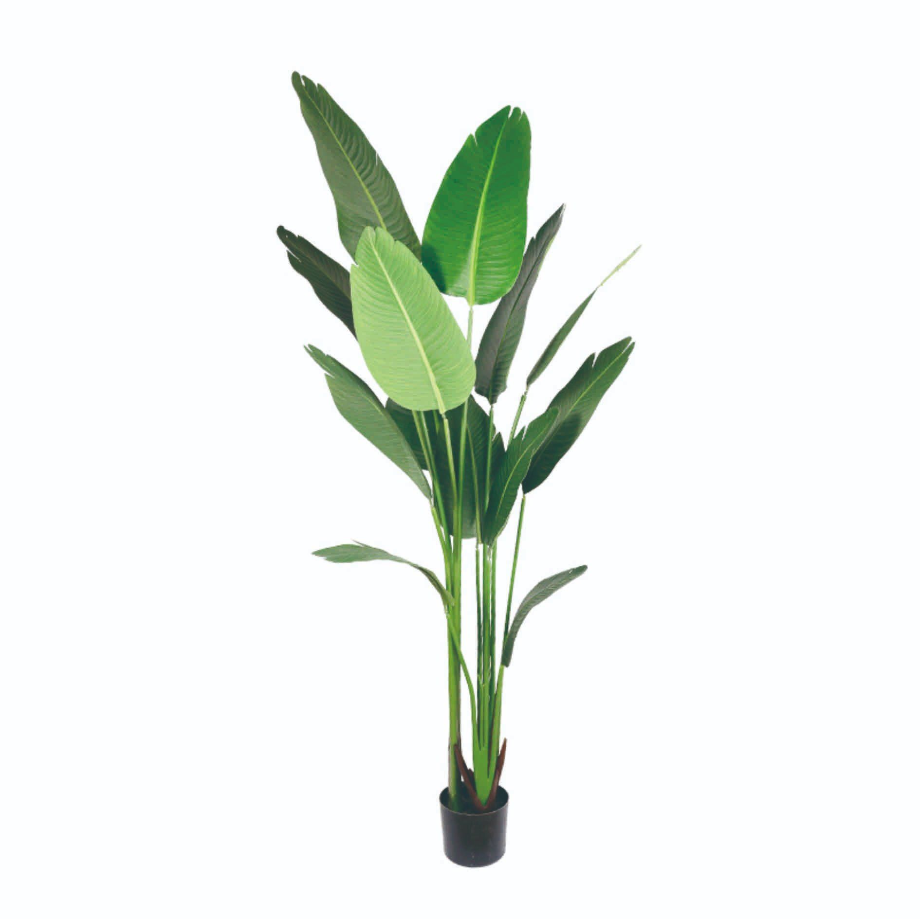 Fabric Traveller Banana Tree