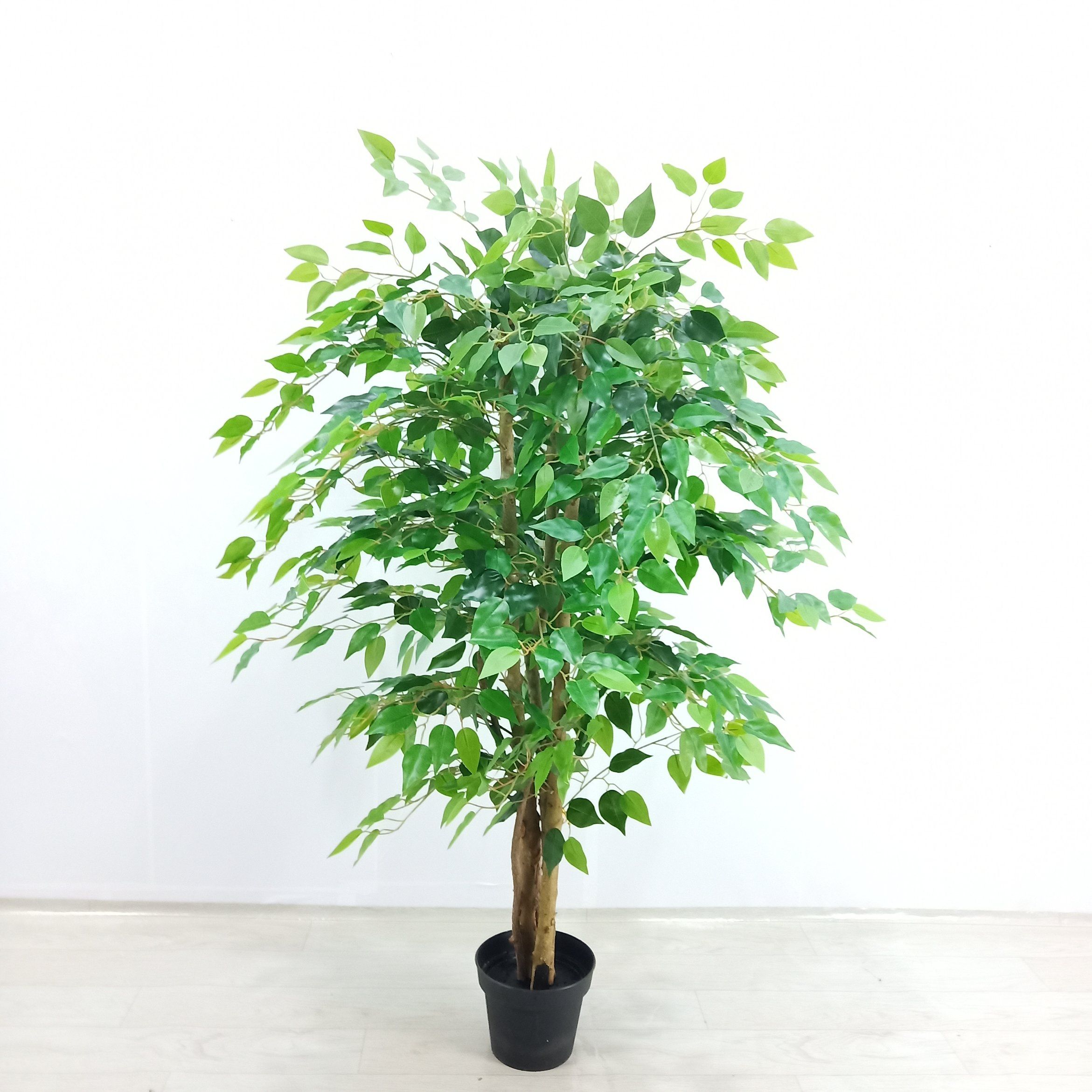 Ficus Bonsai Artificial Tree