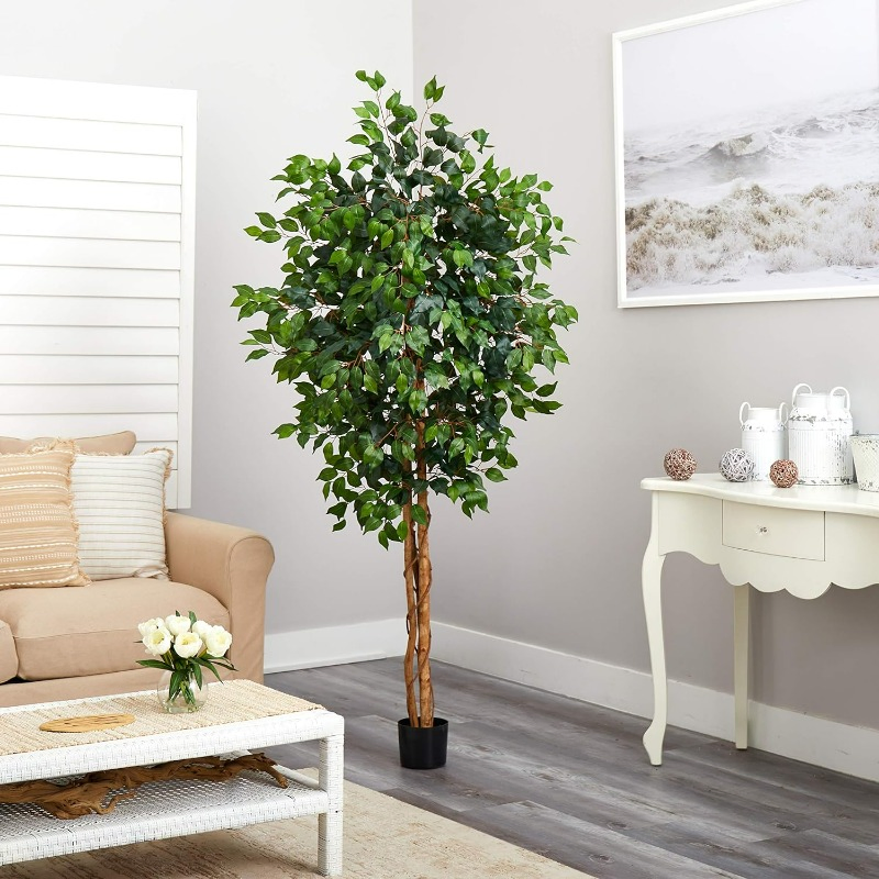 Natural Ficus Silk Tree