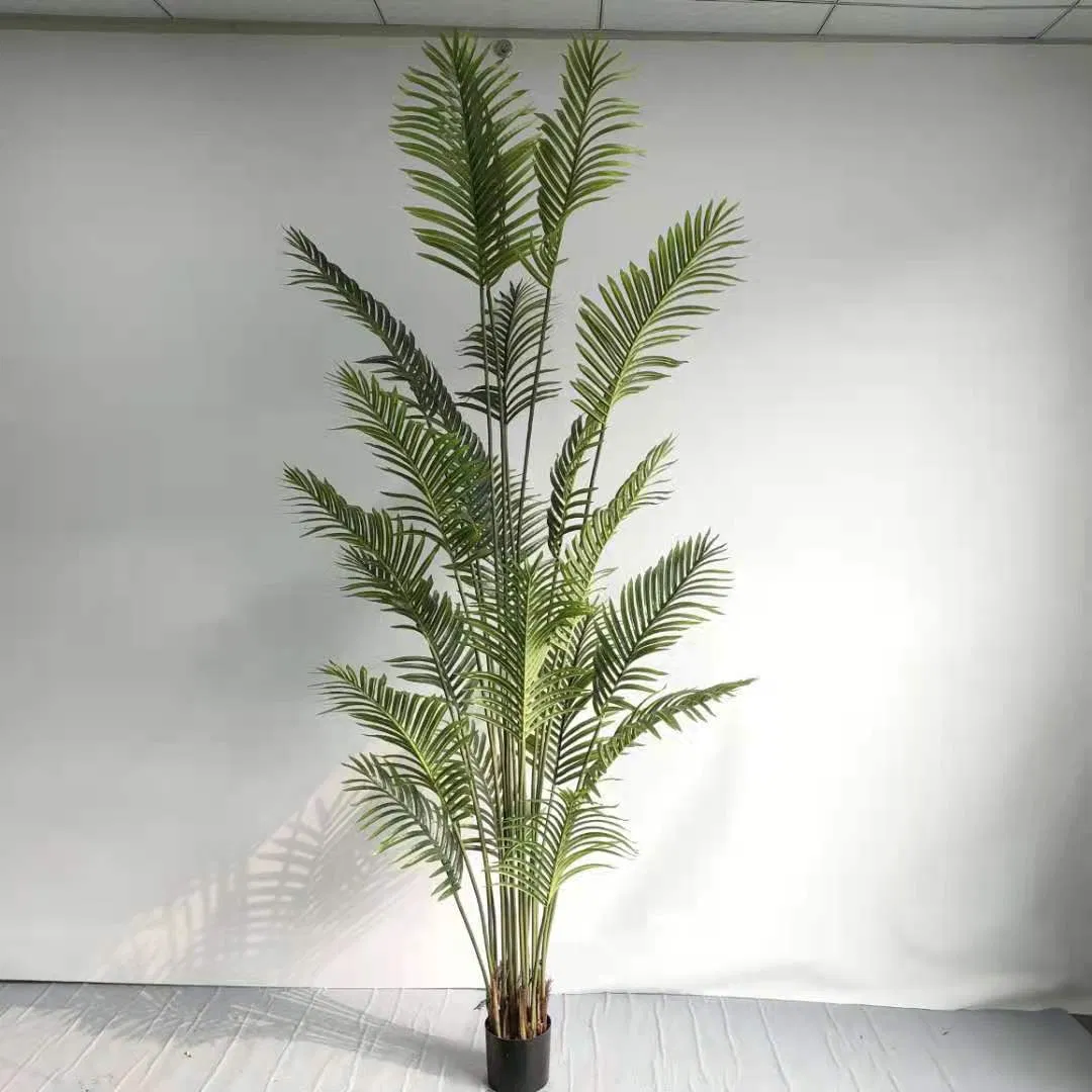 Ornamental Potted Palm Tree