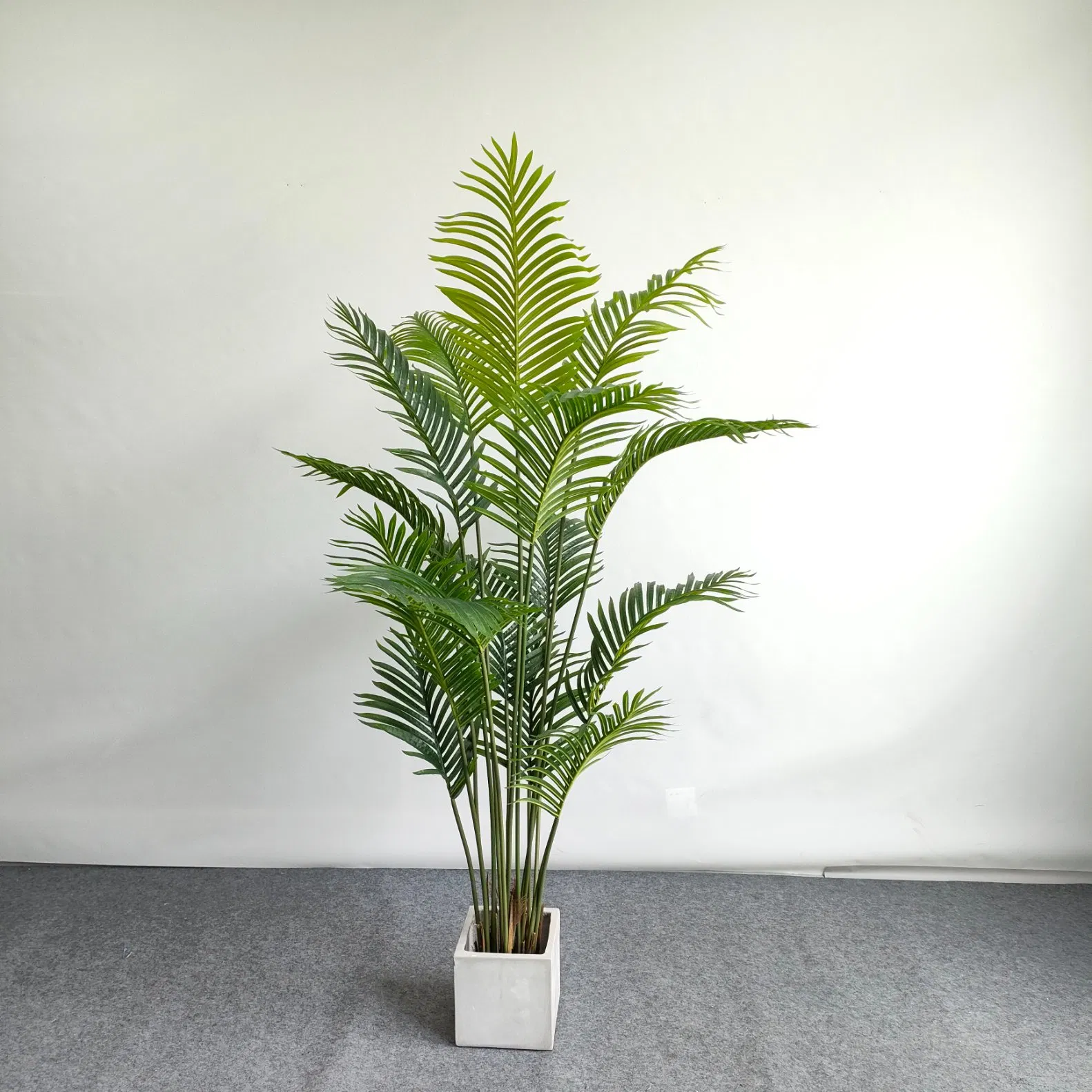 Ornamental Potted Palm Tree