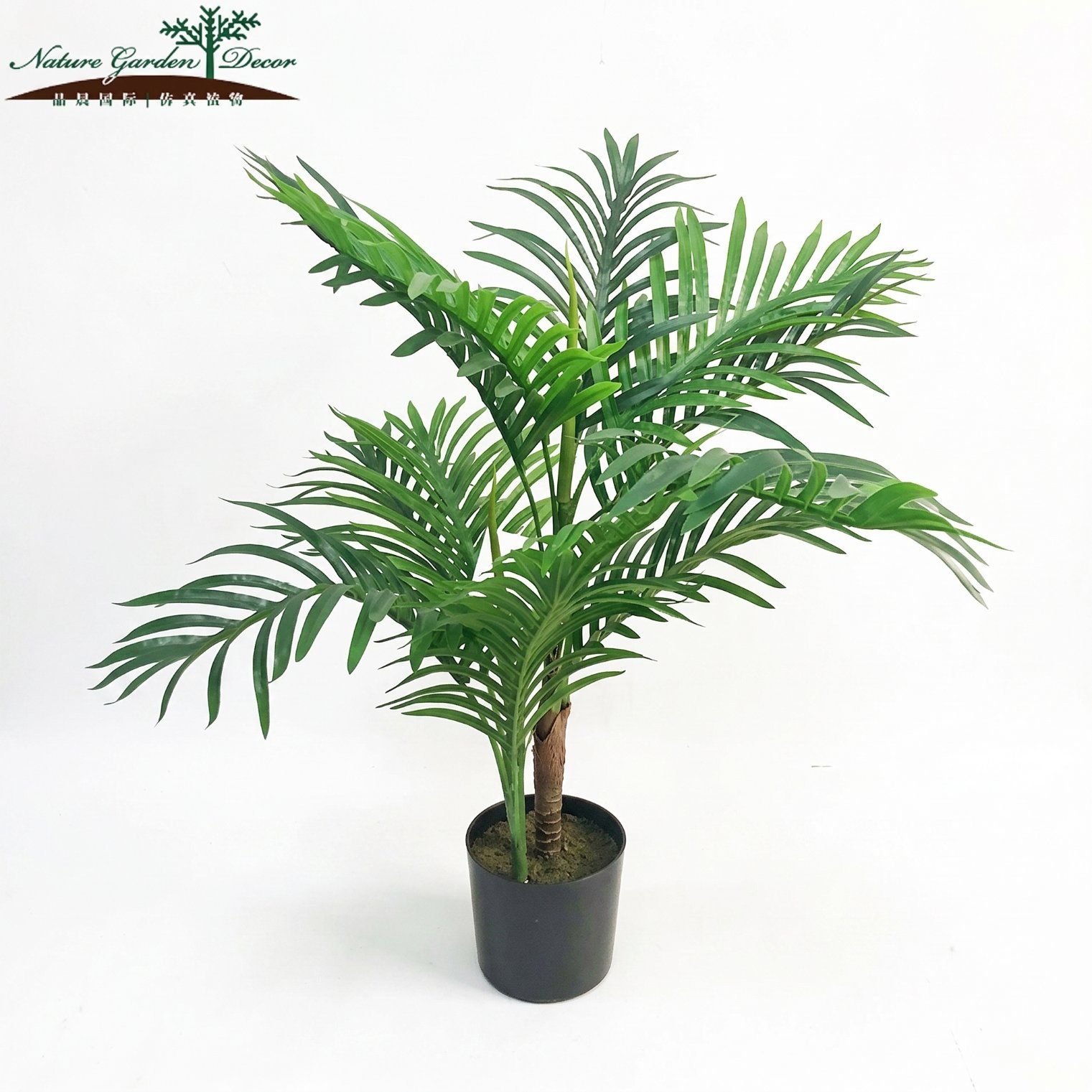 Tropical Countertop Palm Plant
