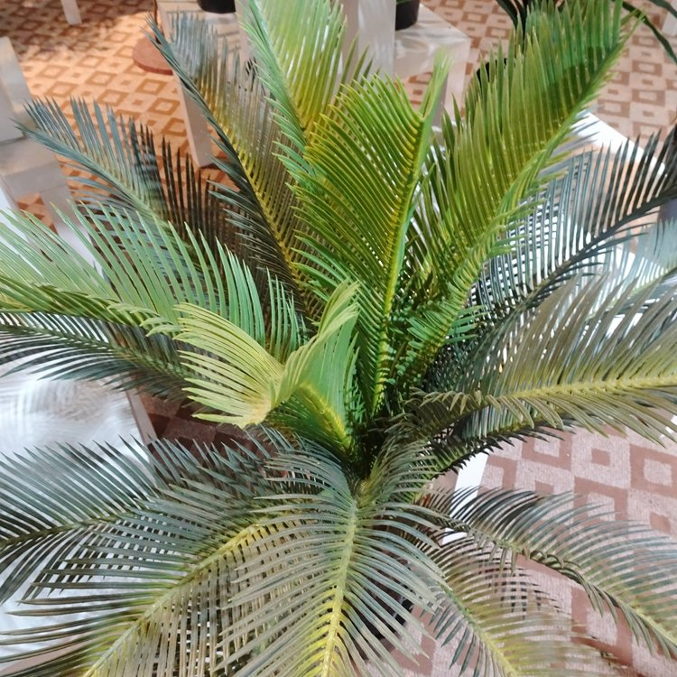 UV Resistant Artificial Cycas Tree