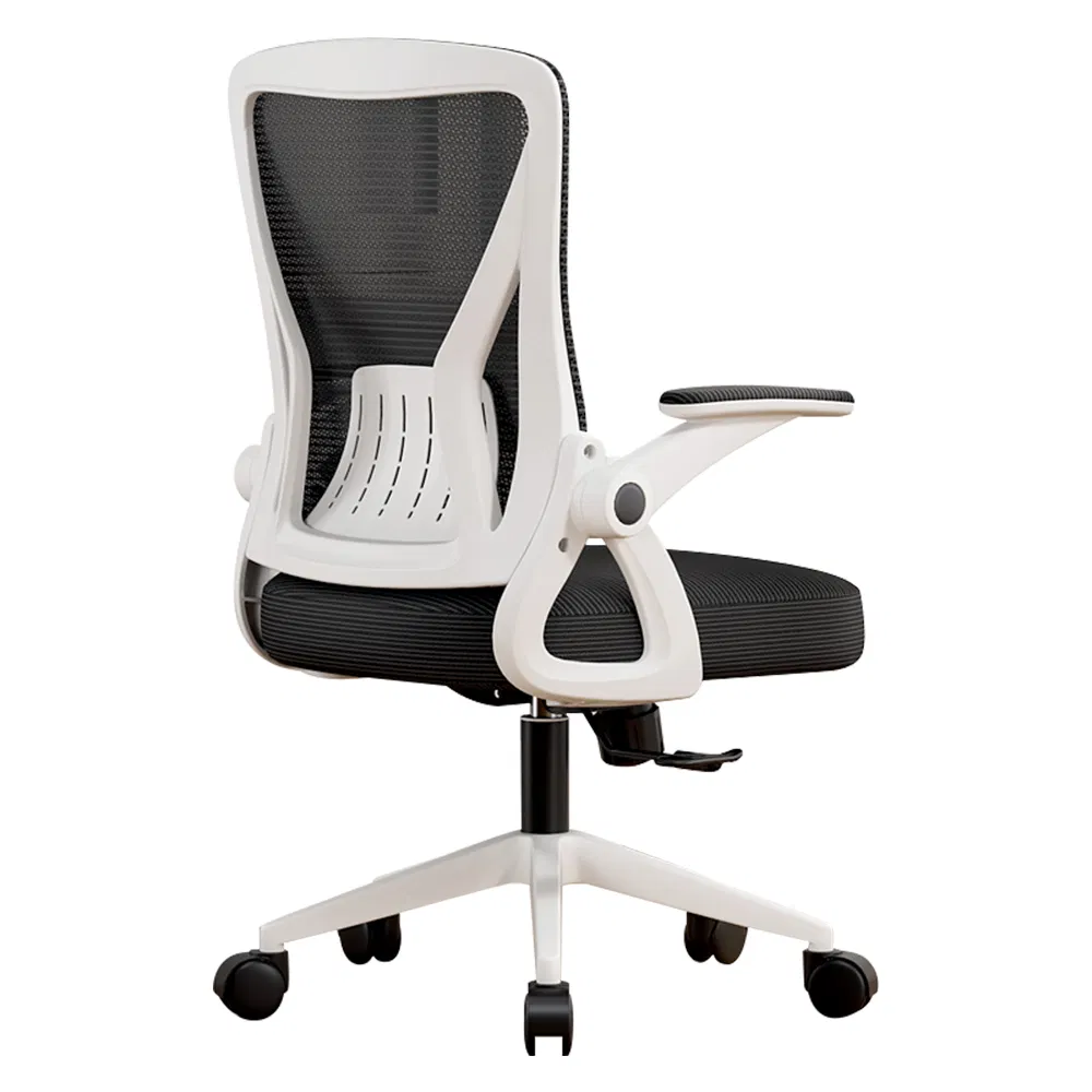 RT-202 Middle Back Ergonomic Chair