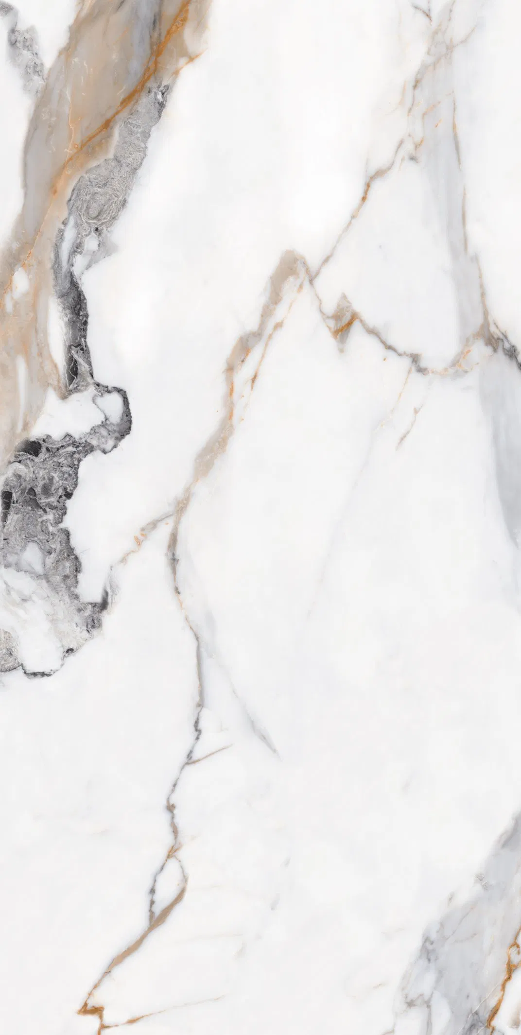 Calacatta Gold Porcelain Tile
