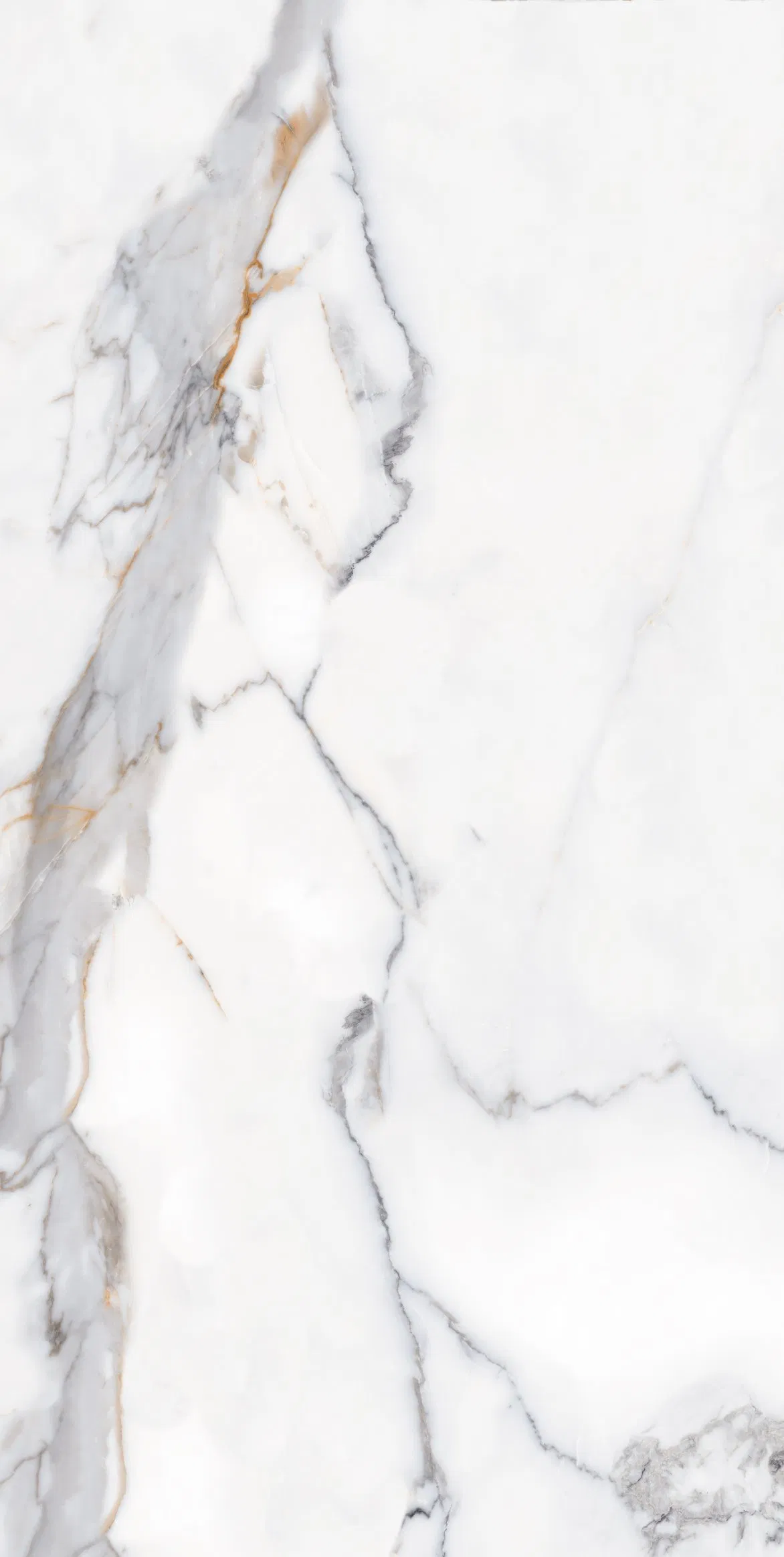 Calacatta Gold Porcelain Tile
