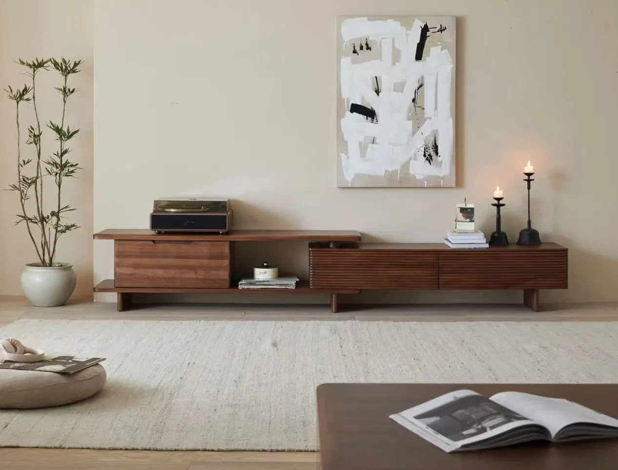 Stylish Wooden TV Stand